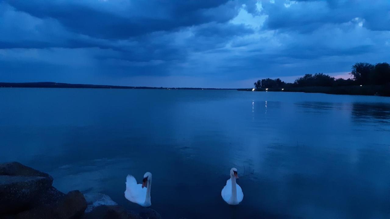 Szalakóta Ház Villa Balatongyörök Kültér fotó